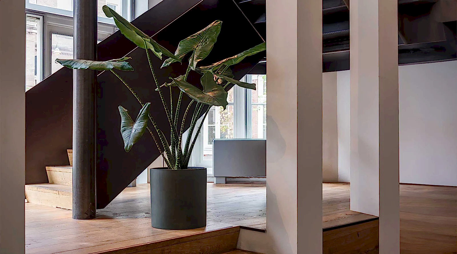 Houseplants, Plant Pots & Planters