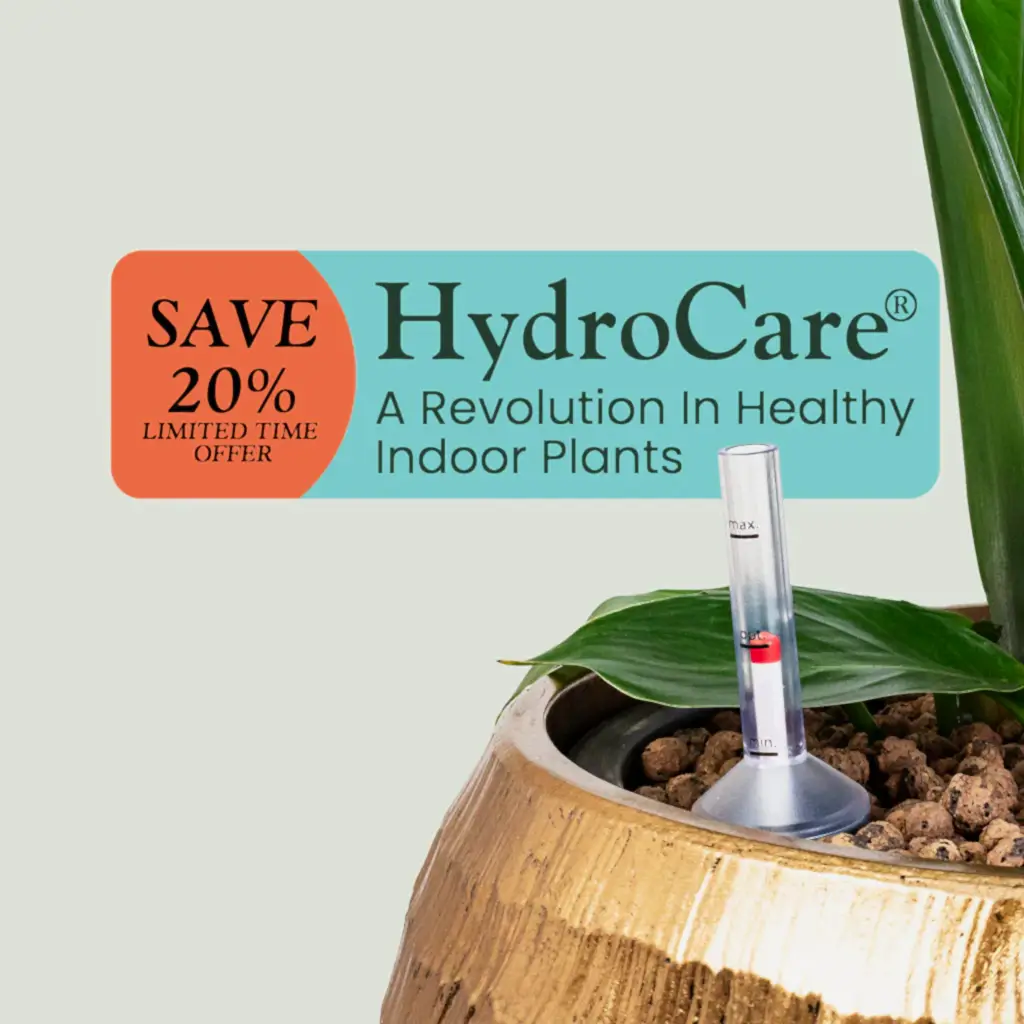 HydroCare Plants