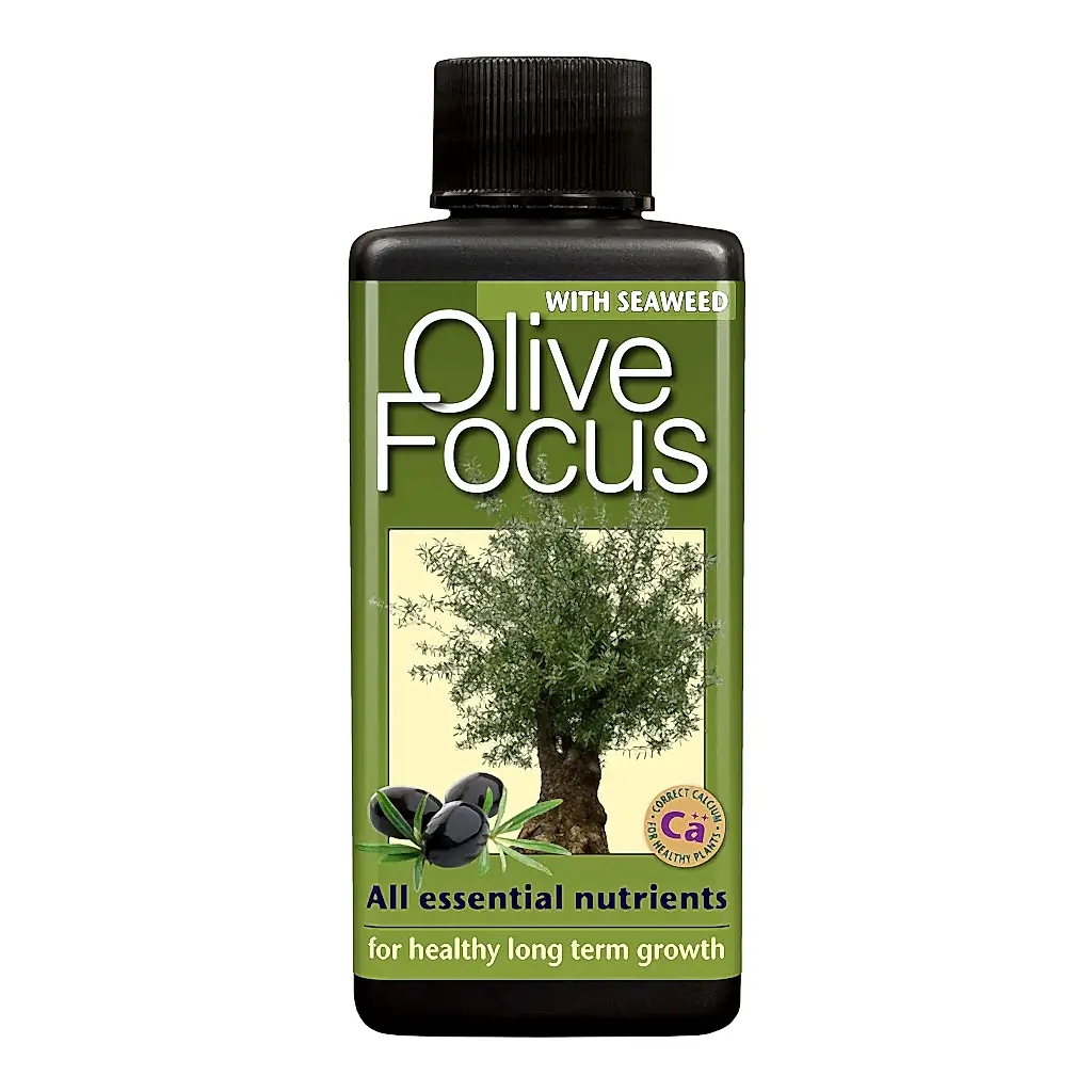 Olive Focus - Plant Nutrition - 100ml