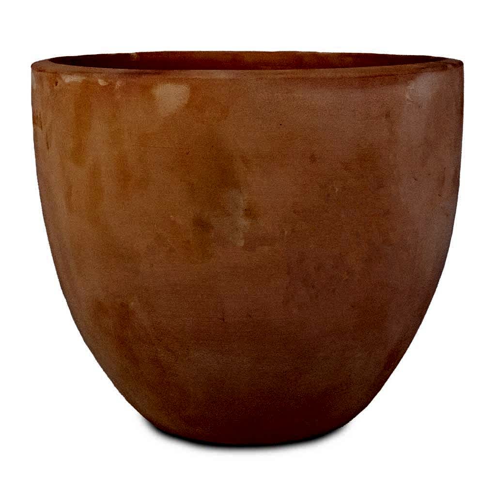 Terracotta Plant Pot