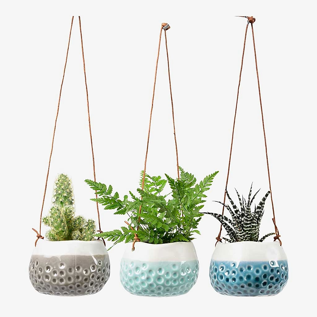 Baby Dotty Hanging Indoor Plant Pots Trio
