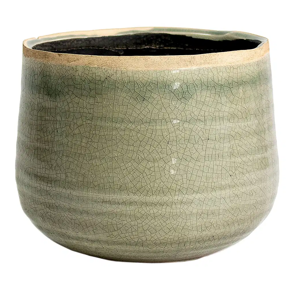 Iris Plant Pot - Mint Large