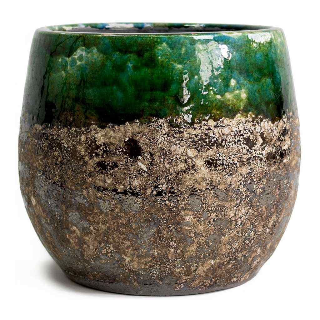 Lindy Plant Pot Black Green Large