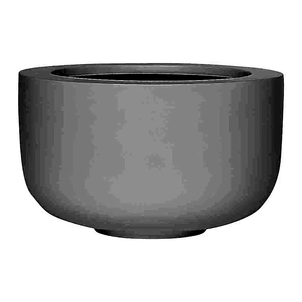 Sunny Plant Bowl - Matt White